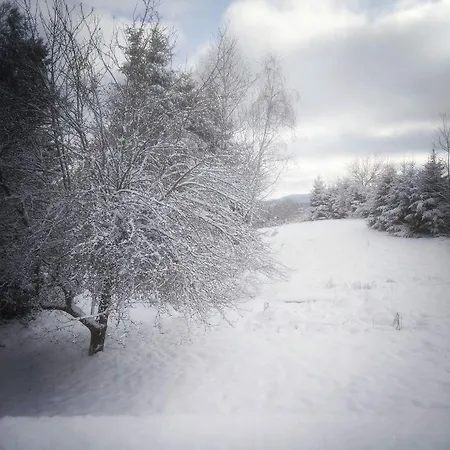 La Petite Louviere *